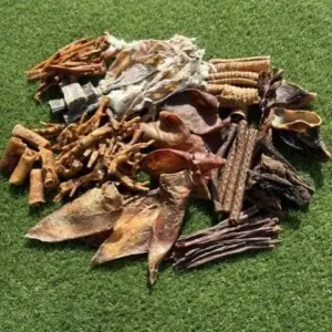 Natural Raw Dog Treats - 100 piece